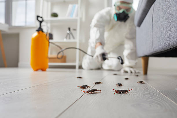 Commercial Kitchen Cockroach Control in Laupahoehoe